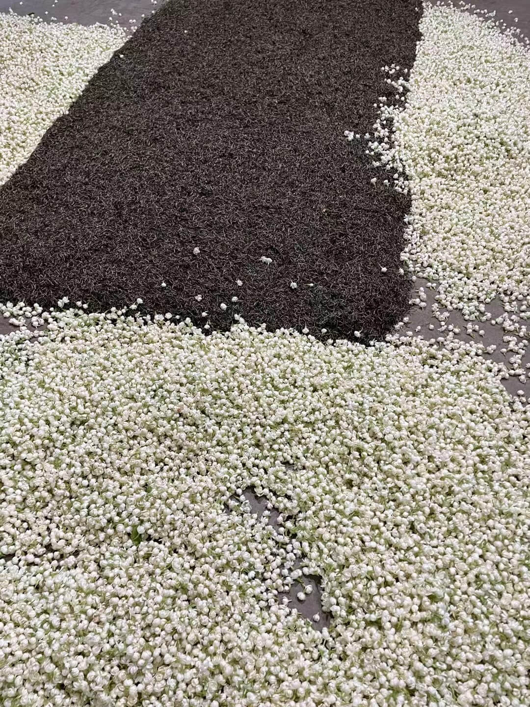 Jasmine Tea Experience